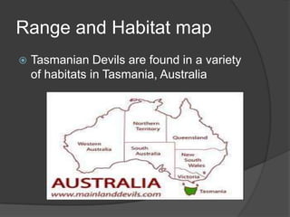 Range and Habitat map
   Tasmanian Devils are found in a variety
    of habitats in Tasmania, Australia
 