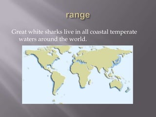 Great white sharks live in all coastal temperate
  waters around the world.
           .
 