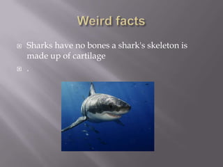    Sharks have no bones a shark's skeleton is
    made up of cartilage
   .
 