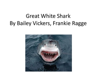 Great White Shark
By Bailey Vickers, Frankie Ragge
 