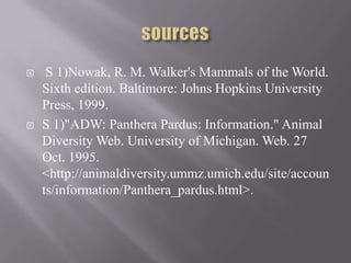     S 1)Nowak, R. M. Walker's Mammals of the World.
    Sixth edition. Baltimore: Johns Hopkins University
    Press, 1999.
   S 1)"ADW: Panthera Pardus: Information." Animal
    Diversity Web. University of Michigan. Web. 27
    Oct. 1995.
    <http://animaldiversity.ummz.umich.edu/site/accoun
    ts/information/Panthera_pardus.html>.
 