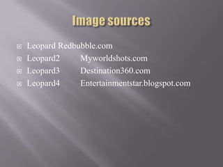    Leopard Redbubble.com
   Leopard2     Myworldshots.com
   Leopard3     Destination360.com
   Leopard4     Entertainmentstar.blogspot.com
 