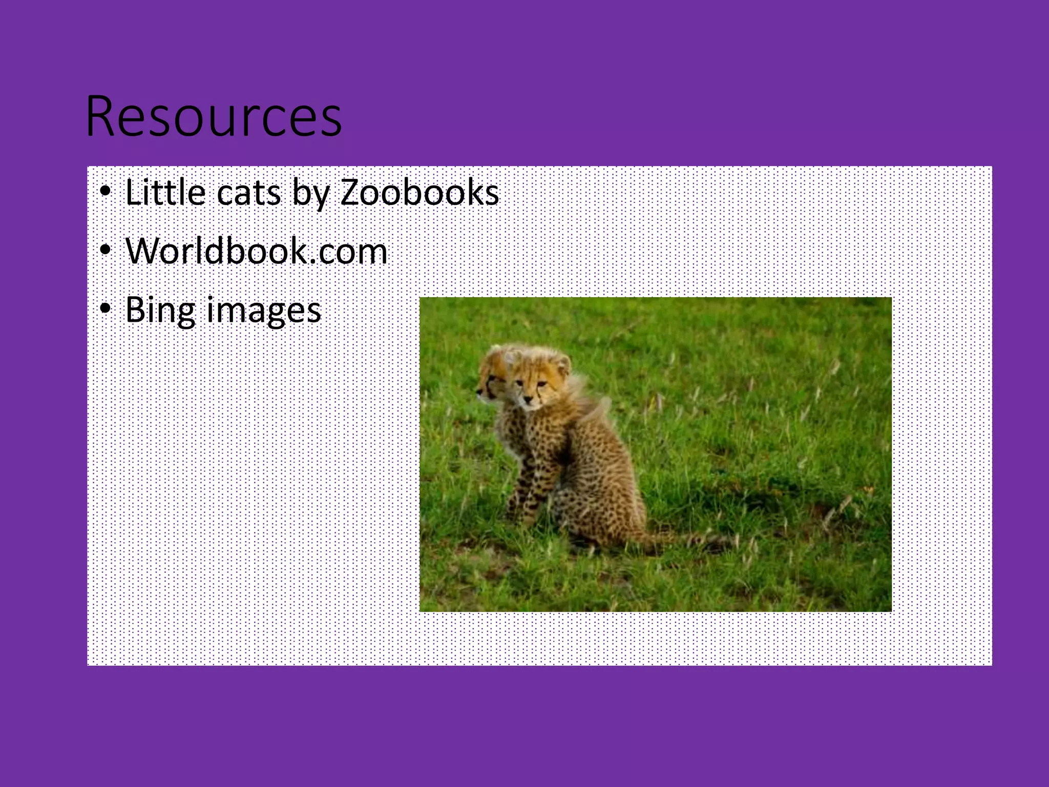 Resources
• Little cats by Zoobooks
• Worldbook.com
• Bing images