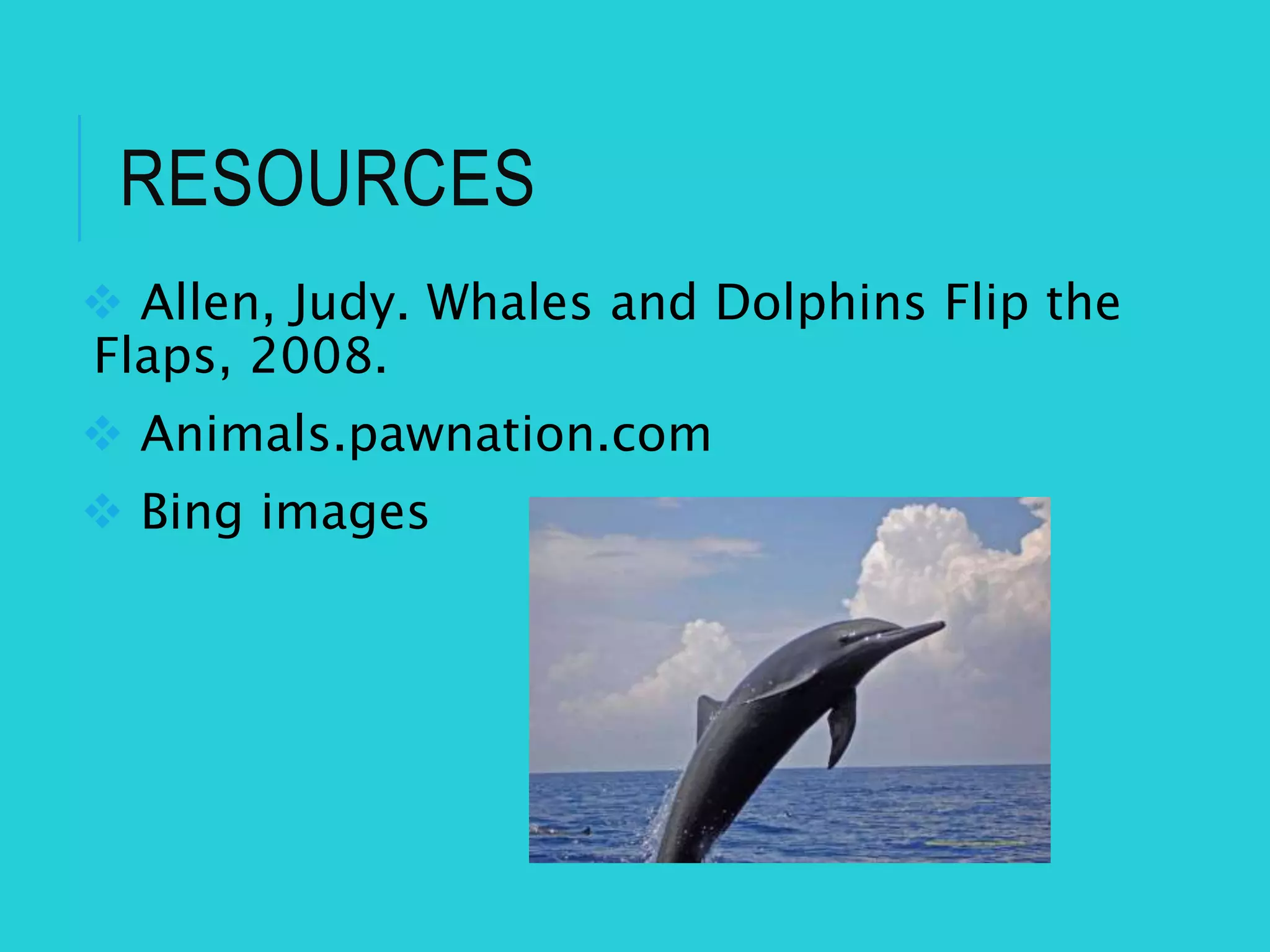 RESOURCES
Allen, Judy. Whales and Dolphins Flip the
Flaps, 2008.
Animals.pawnation.com
Bing images