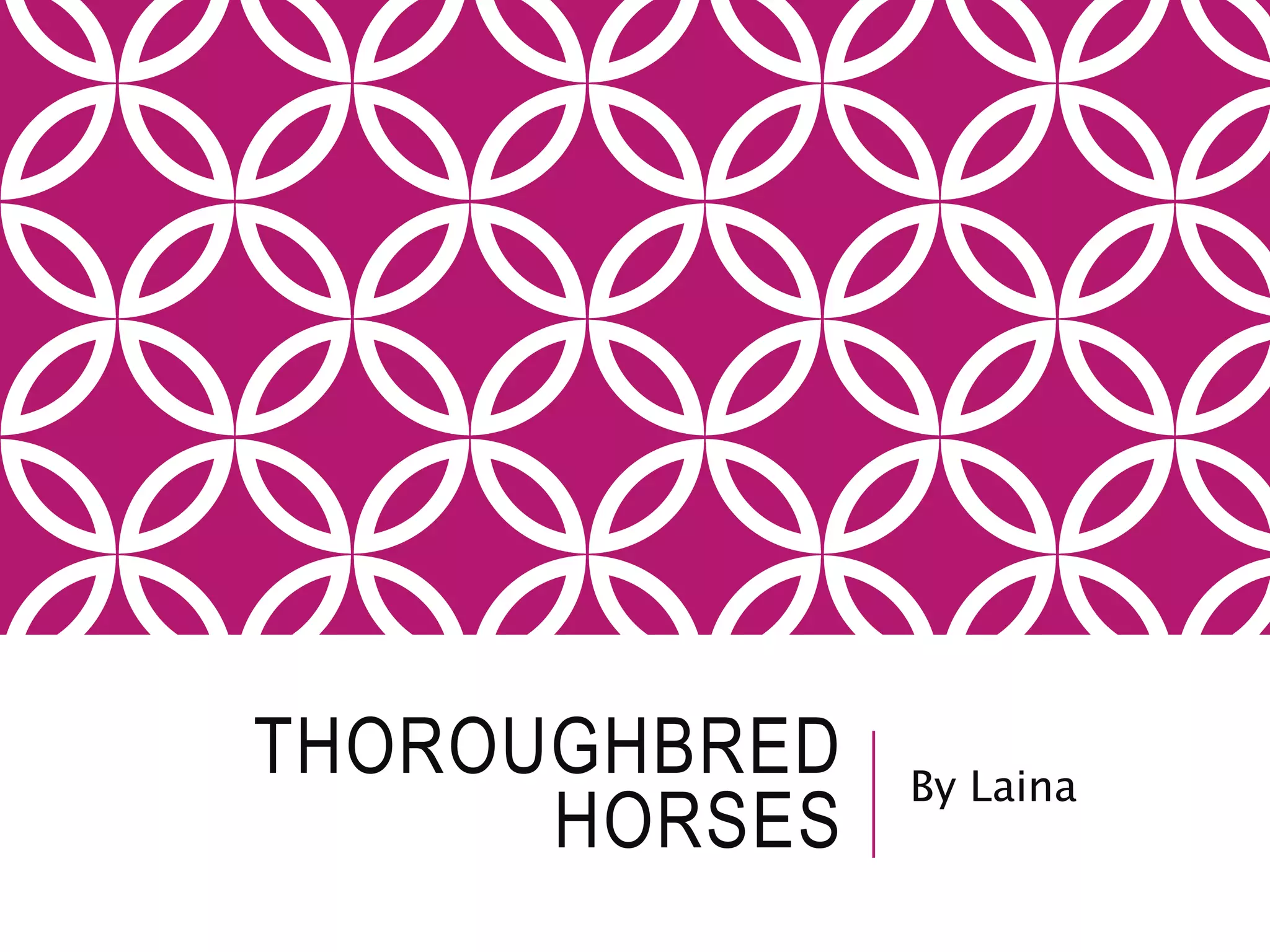 THOROUGHBRED
HORSES
By Laina