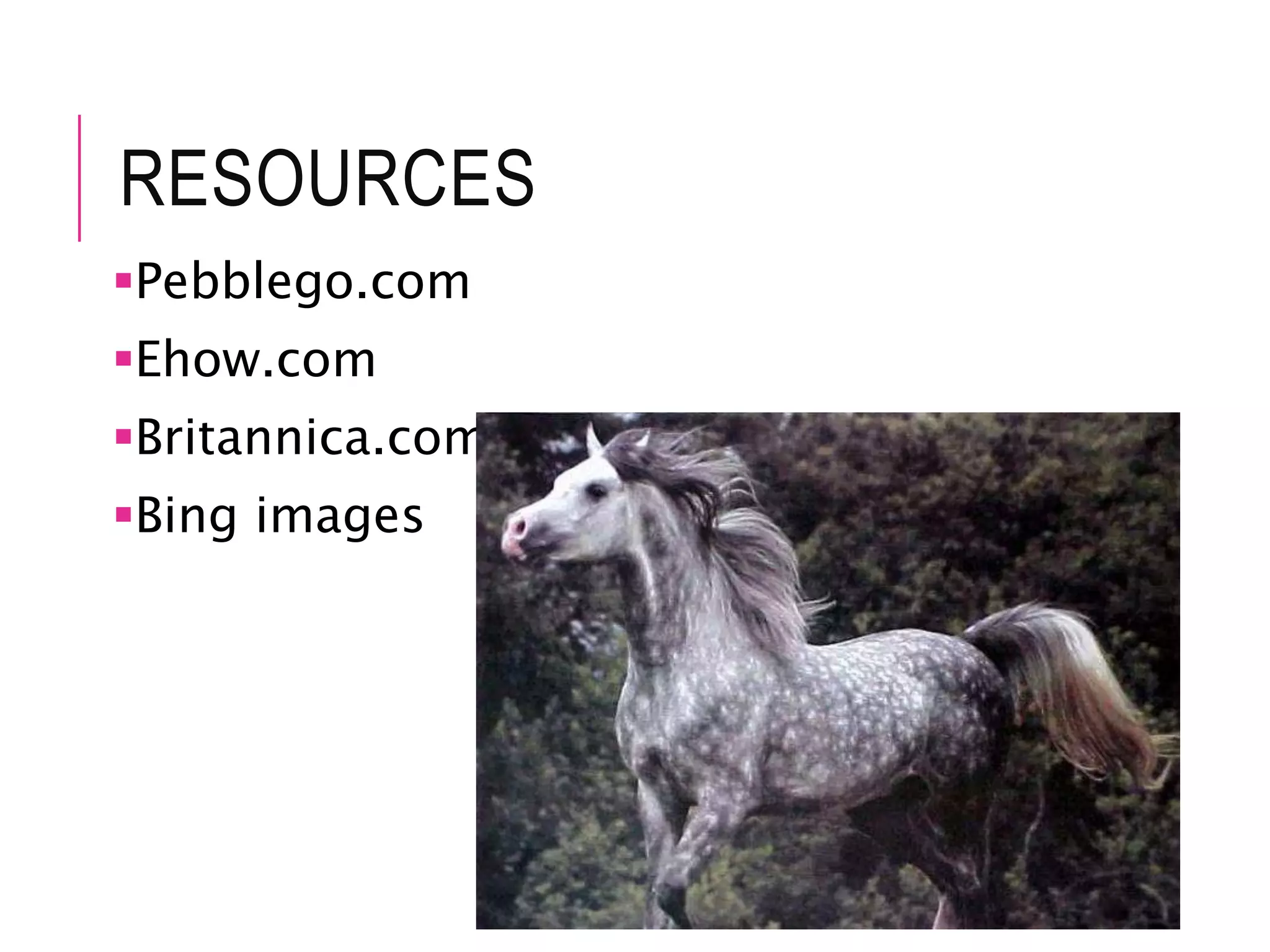 RESOURCES
Pebblego.com
Ehow.com
Britannica.com
Bing images