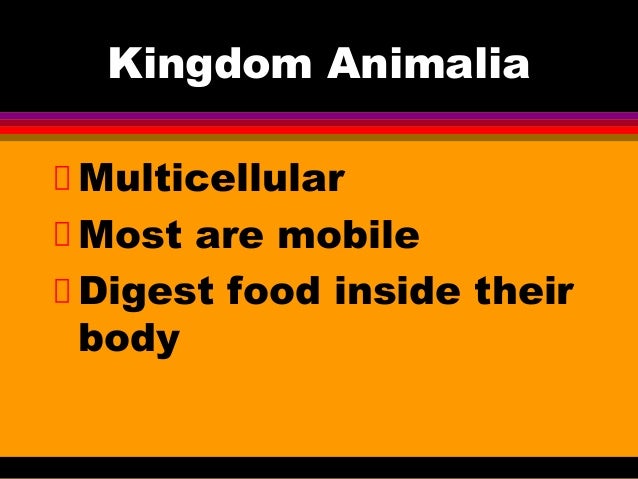 Animal Power Point Notes