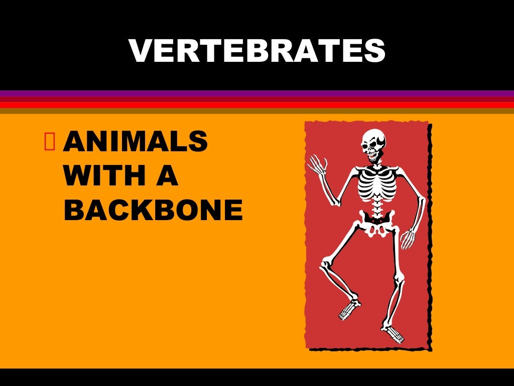 Animal Power Point Notes