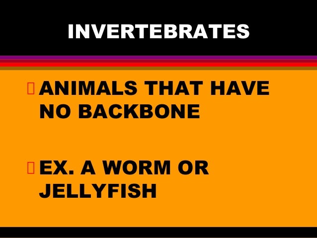 Animal Power Point Notes