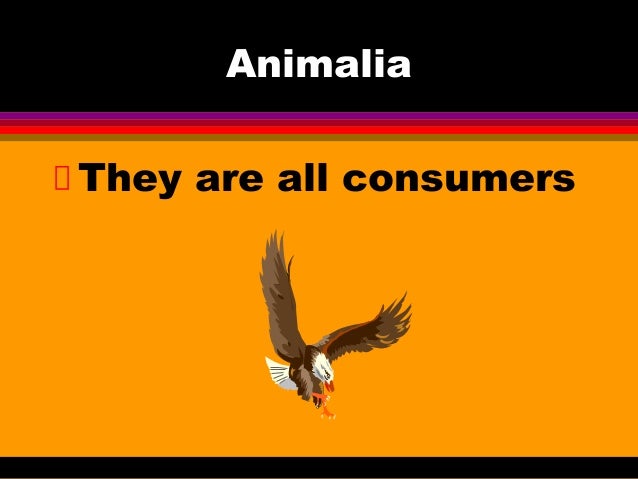 animal-power-point-notes