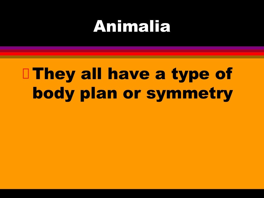 animal-power-point-notes