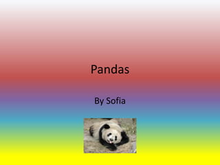 Pandas
By Sofia
 