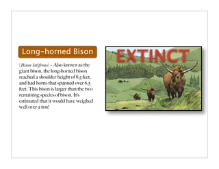 Animal_PPT_ck.key.pdf hjki 90077jkkhu90o | PDF