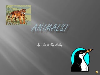 Animals! By : Sarah Meg Malloy 