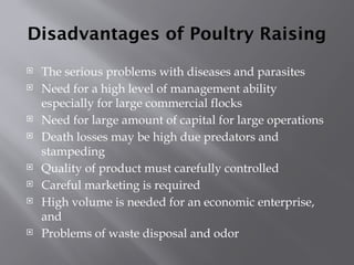 Poultry Management Problem ANIMAL PRODUCTION (POULTRY-CHICKEN) NC II.pptx