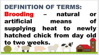 Animal Production PPT 2023-2024 [Autosaved].pptx