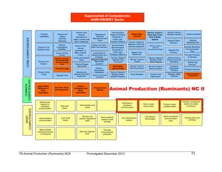 TESDA - TR - Animal Production (Ruminants) NC II | PDF