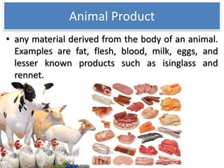 Animal products & animal by product