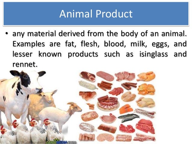 Image result for animal products