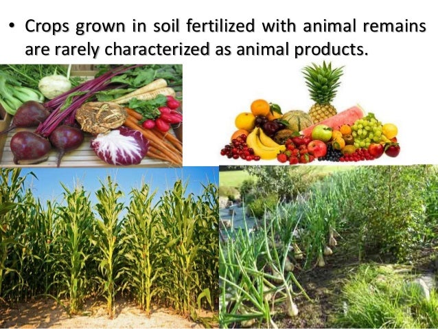 Animal products & animal by product