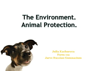 The environment. Animal protection.