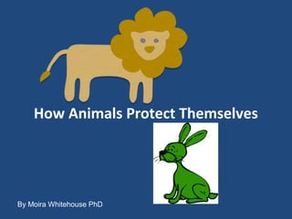 How Animals Protect Themselves
By Moira Whitehouse PhD
 