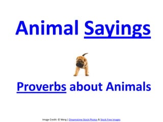 Image Credit: © Werg | Dreamstime Stock Photos & Stock Free Images
Animal Sayings
Proverbs about Animals
 