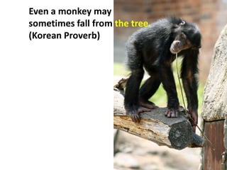 Even a monkey may
sometimes fall from the tree.
(Korean Proverb)
 