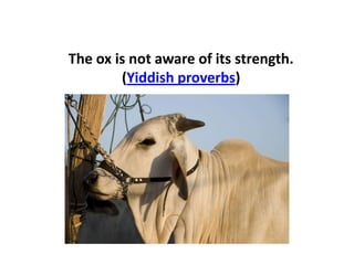The ox is not aware of its strength.
(Yiddish proverbs)
 