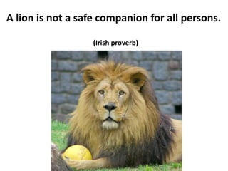 A lion is not a safe companion for all persons.
(Irish proverb)
 