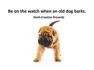 Be on the watch when an old dog barks.
(Serb-Croatian Proverb)
 