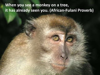 When you see a monkey on a tree,
it has already seen you. (African-Fulani Proverb)
 