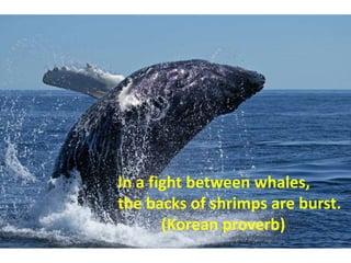 In a fight between whales,
the backs of shrimps are burst.
(Korean proverb)
 