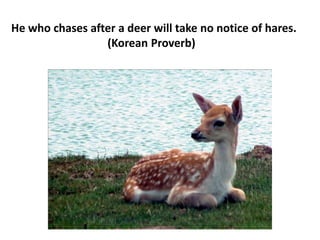 He who chases after a deer will take no notice of hares.
(Korean Proverb)
 
