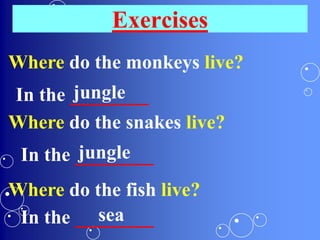 Where do the monkeys live?
In the ________jungle
Where do the snakes live?
In the ________jungle
Where do the fish live?
In the ________sea
Exercises
 