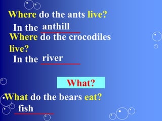 Where do the ants live?
In the ________anthill
Where do the crocodiles
live?
In the ________river
What?
What do the bears eat?
________fish
 