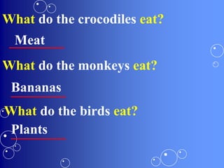 What do the crocodiles eat?
________Meat
What do the monkeys eat?
________Bananas
What do the birds eat?
________Plants
 