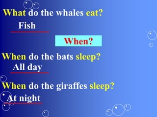 What do the whales eat?
________Fish
When?
When do the bats sleep?
________All day
When do the giraffes sleep?
________At night
 