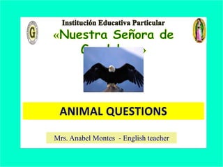 ANIMAL QUESTIONS
Mrs. Anabel Montes - English teacher
 