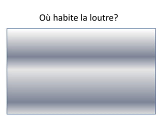 Où habite la loutre?

Rivière

La mer

 