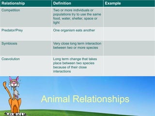 Animal Relationships
Relationship Definition Example
Competition Two or more individuals or
populations try to use the same
food, water, shelter, space or
light
Predator/Prey One organism eats another
Symbiosis Very close long term interaction
between two or more species
Coevolution Long term change that takes
place between two species
because of their close
interactions
 