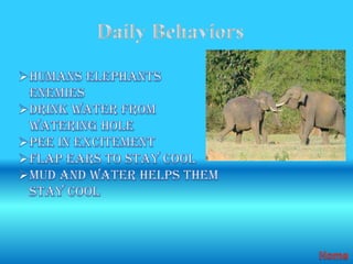 Animal report.sanders