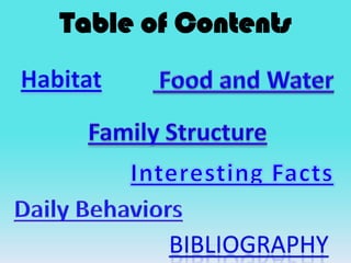Table of Contents
 