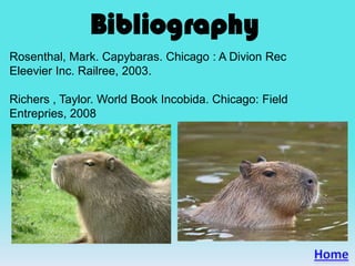 Bibliography
Rosenthal, Mark. Capybaras. Chicago : A Divion Rec
Eleevier Inc. Railree, 2003.
Richers , Taylor. World Book Incobida. Chicago: Field
Entrepries, 2008
 