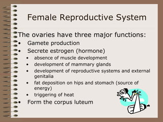 animalrepro.ppt