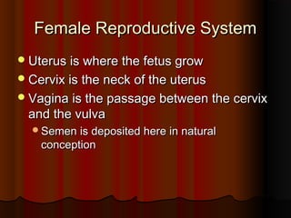 Female Reproductive SystemFemale Reproductive System
Uterus is where the fetus growUterus is where the fetus grow
Cervix is the neck of the uterusCervix is the neck of the uterus
Vagina is the passage between the cervixVagina is the passage between the cervix
and the vulvaand the vulva
Semen is deposited here in naturalSemen is deposited here in natural
conceptionconception
 