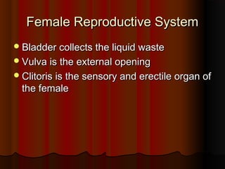Female Reproductive SystemFemale Reproductive System
Bladder collects the liquid wasteBladder collects the liquid waste
Vulva is the external openingVulva is the external opening
Clitoris is the sensory and erectile organ ofClitoris is the sensory and erectile organ of
the femalethe female
 