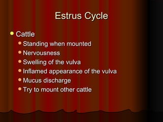 Estrus CycleEstrus Cycle
CattleCattle
Standing when mountedStanding when mounted
NervousnessNervousness
Swelling of the vulvaSwelling of the vulva
Inflamed appearance of the vulvaInflamed appearance of the vulva
Mucus dischargeMucus discharge
Try to mount other cattleTry to mount other cattle
 