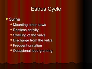 Estrus CycleEstrus Cycle
SwineSwine
Mounting other sowsMounting other sows
Restless activityRestless activity
Swelling of the vulvaSwelling of the vulva
Discharge from the vulvaDischarge from the vulva
Frequent urinationFrequent urination
Occasional loud gruntingOccasional loud grunting
 
