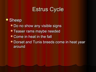 Estrus CycleEstrus Cycle
SheepSheep
Do no show any visible signsDo no show any visible signs
Teaser rams maybe neededTeaser rams maybe needed
Come in heat in the fallCome in heat in the fall
Dorset and Tunis breeds come in heat yearDorset and Tunis breeds come in heat year
aroundaround
 